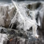 Friable vs Non-friable Asbestos